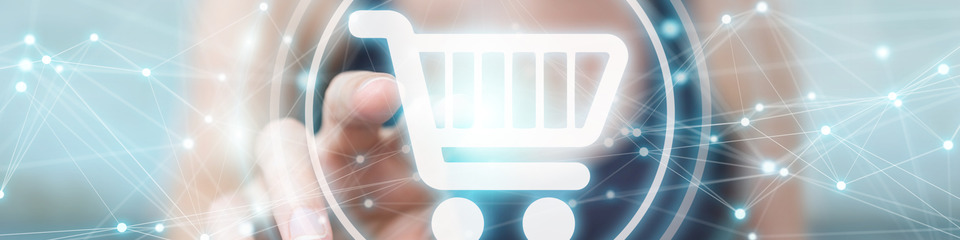 Ecommerce_websim5_Articolo Ecommerce_websim5_Articolo