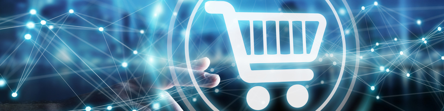 Ecommerce_websim6_Articolo