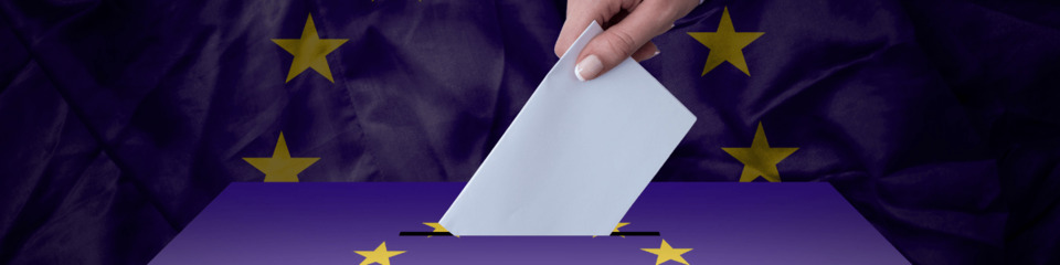 Elezioni UE_websim