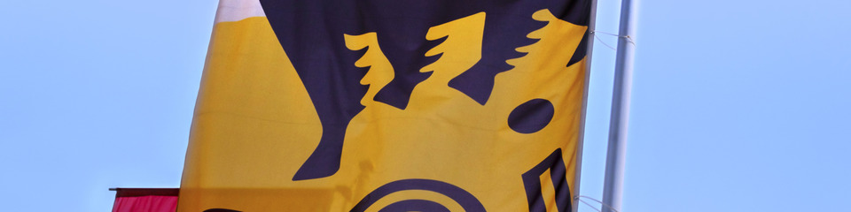 Eni_websim7