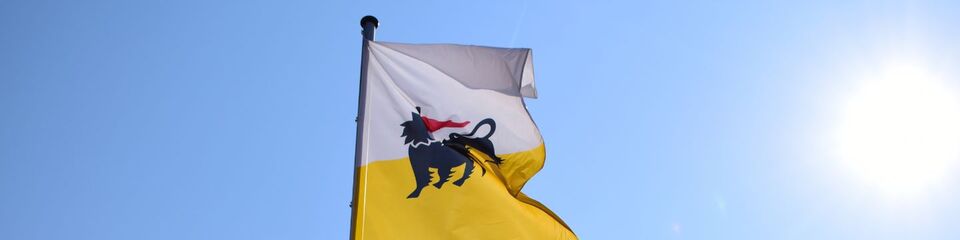 eni_websim_4