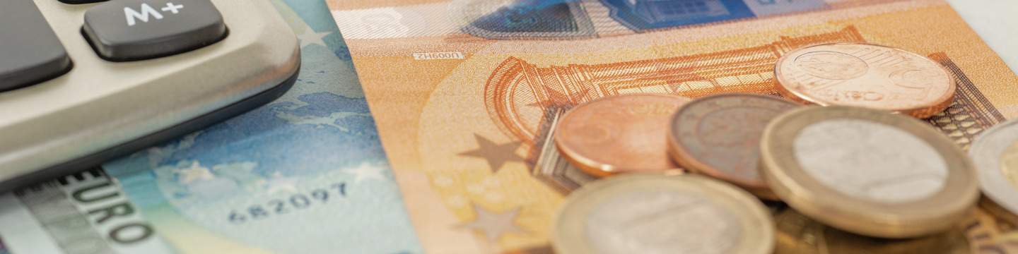 euro_websim