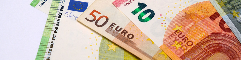 euro_websim_2 euro_websim_2