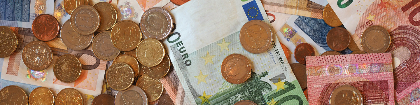euro_websim_3