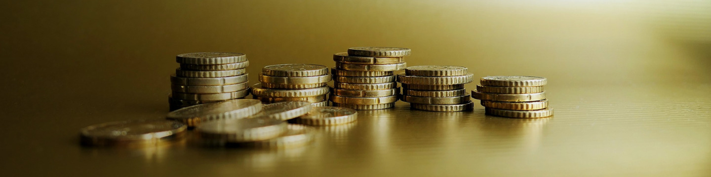 euro_websim_4