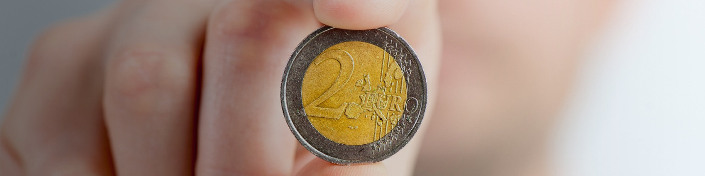 euro_websim_6
