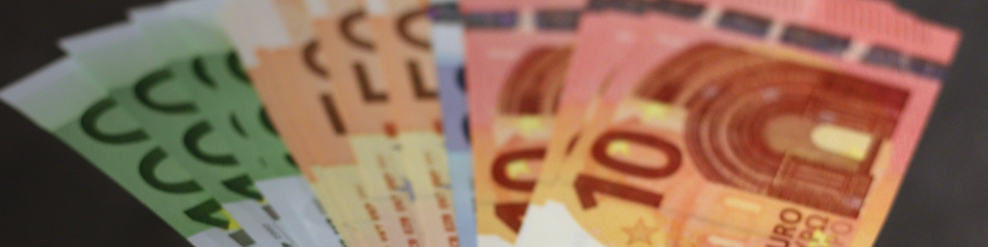 euro_websim_7