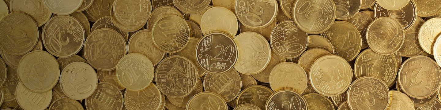 euro_websim_8 euro_websim_8