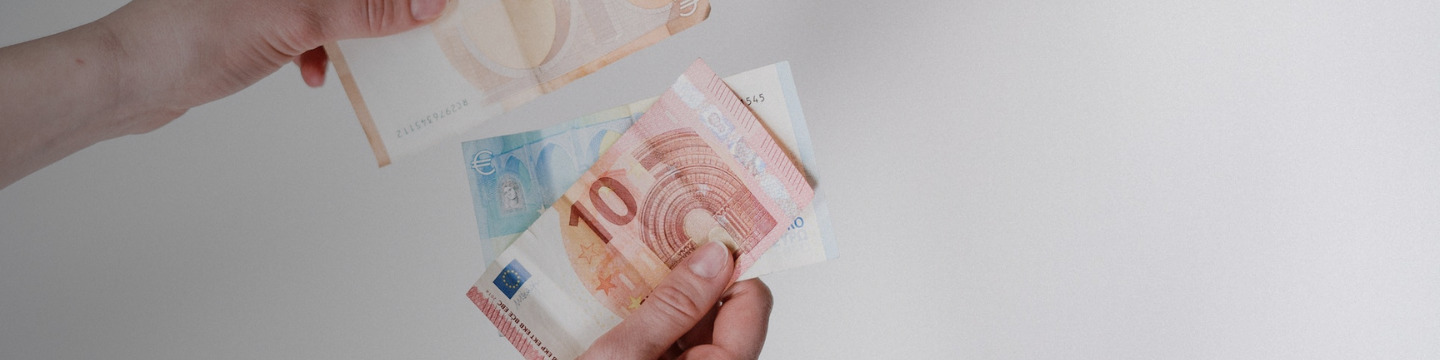 euro_websim_9