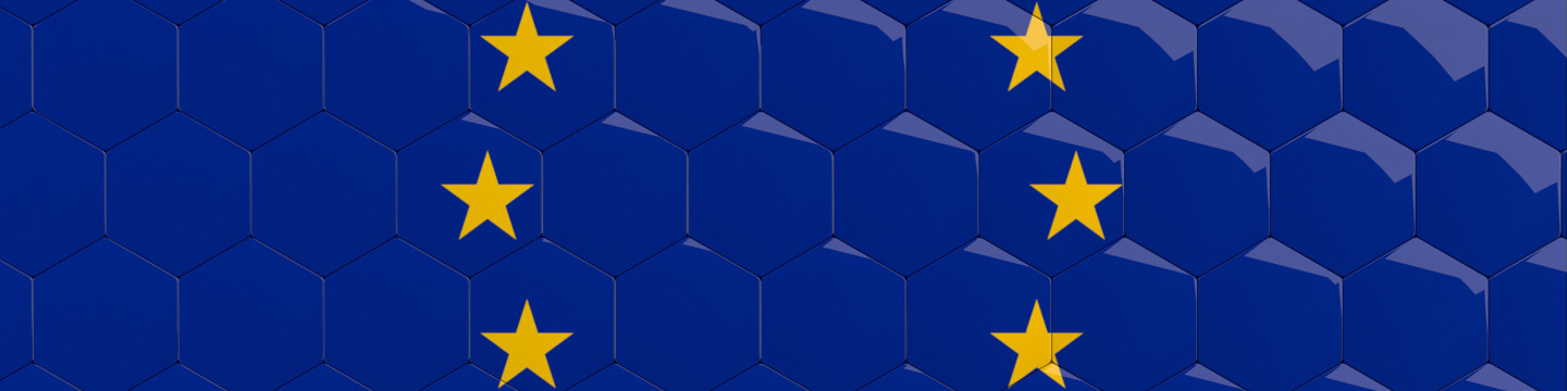 Europa_websim11
