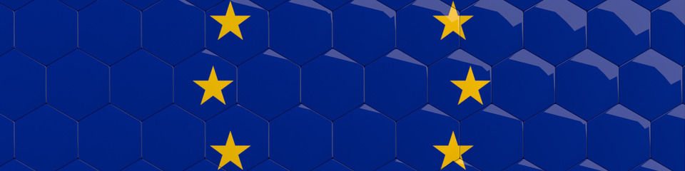 Europa_websim11