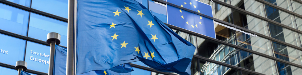 Europa_websim18