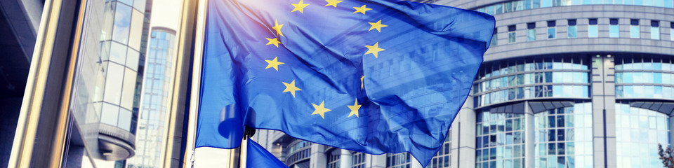 Europa_websim19