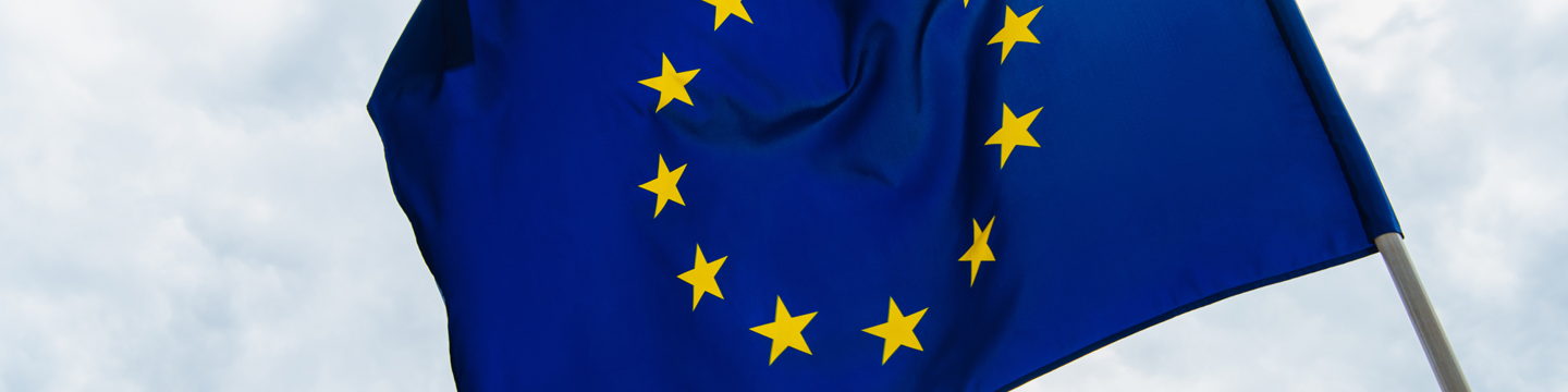 Europa_websim21 Europa_websim21