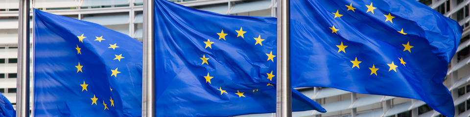Europa_websim25