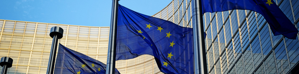 Europa_websim29