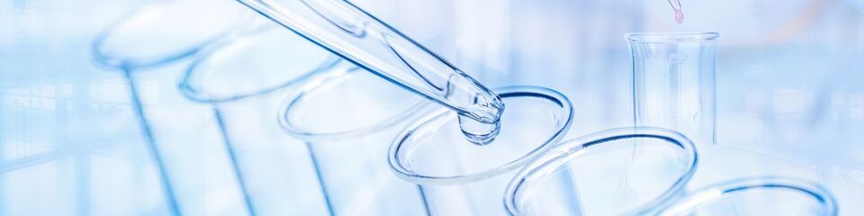 farmaceutica websim 3