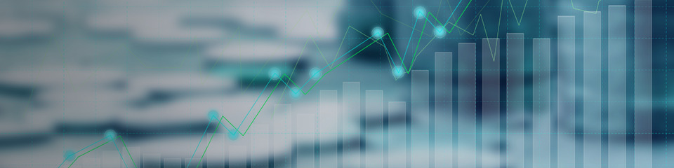 finanza_websim_5