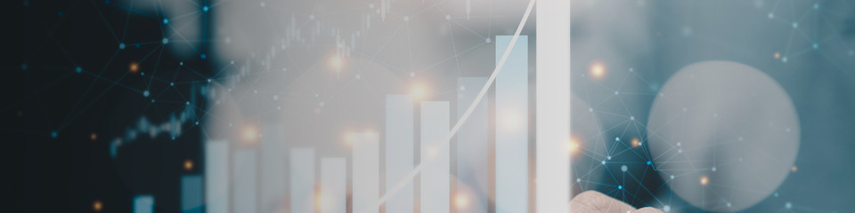 finanza_websim_6