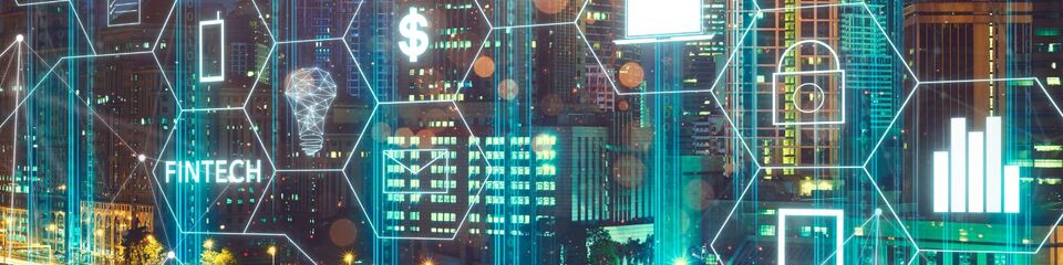 fintech websim oib