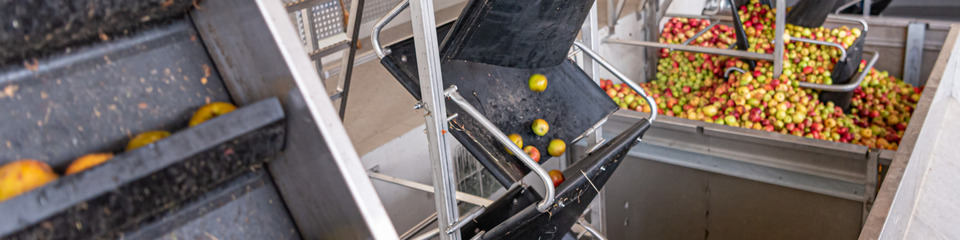 Food_websim6