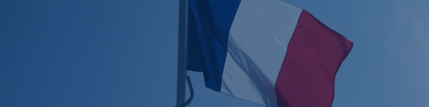 Francia_websim2