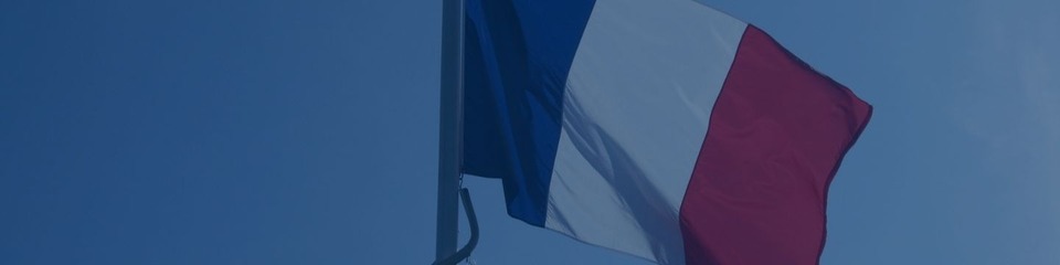 Francia_websim2