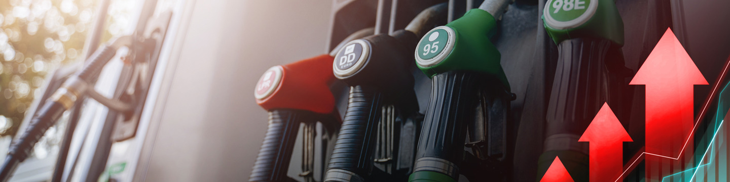 Gas_websim3