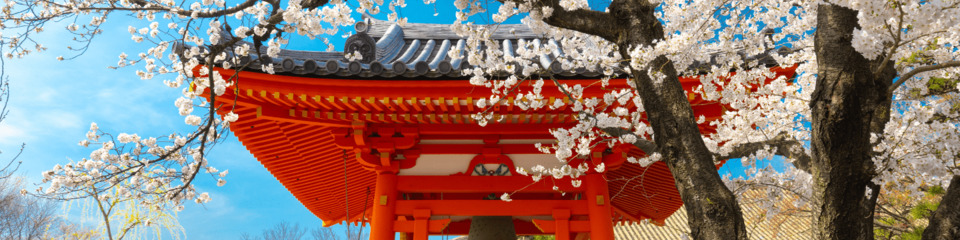 Giappone_websim2