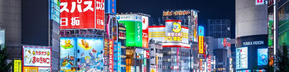 Giappone_websim5
