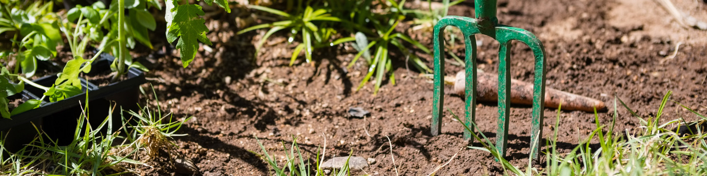 Giardinaggio_websim10 Giardinaggio_websim10