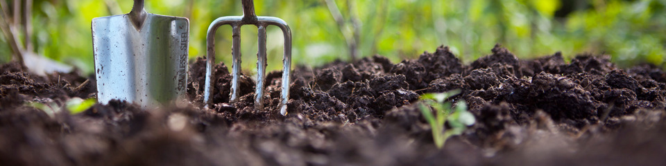 Giardinaggio_websim5