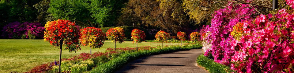 Giardinaggio_websim9