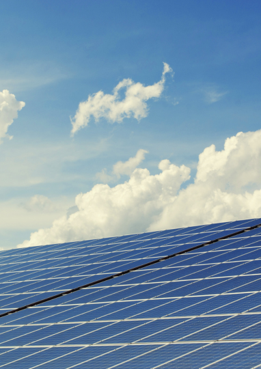 green 2 articoli in evidenza green 2 articoli in evidenza