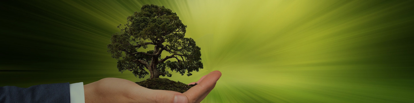 green_websim_14