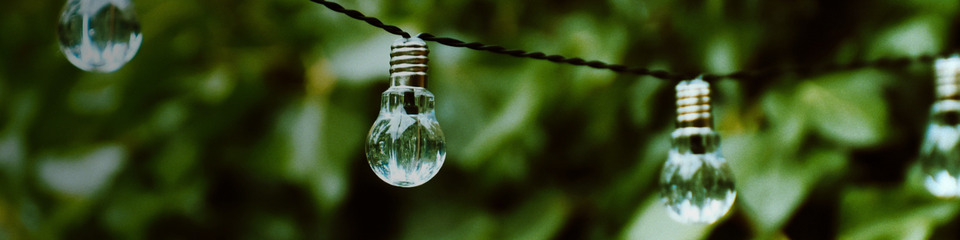 green_websim_15