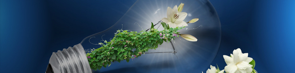 green_websim_20
