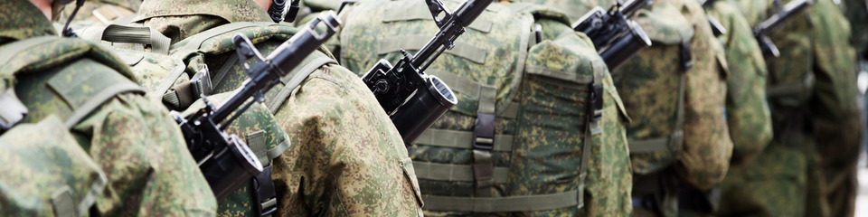 Guerra_websim1