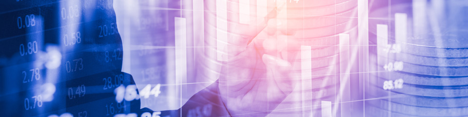 Indici_websim14