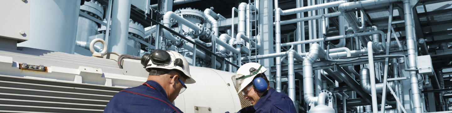 Industria_websim12