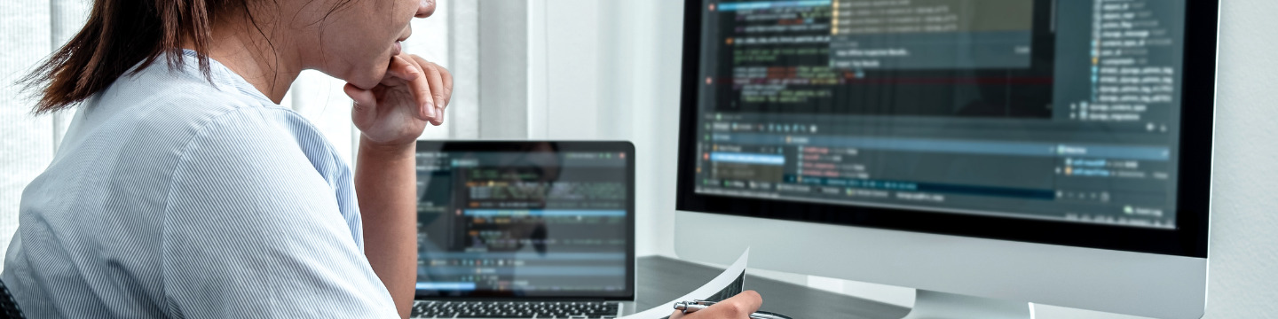 informatica_websim_2