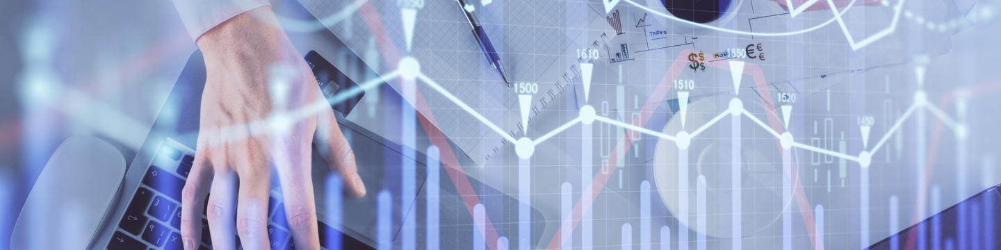 Investimenti_websim11