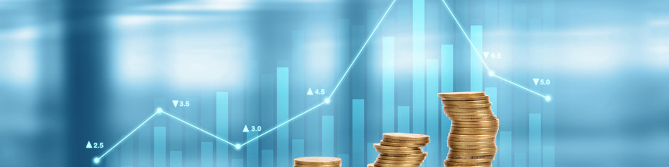 Investimenti_websim7