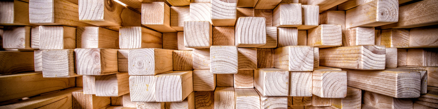 Legno_websim3