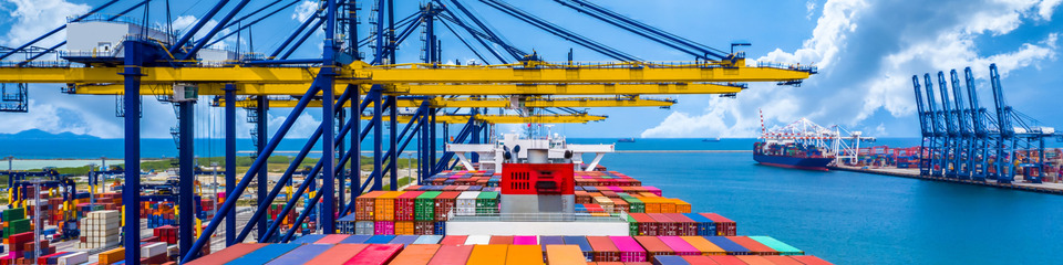 Logistica_websim10