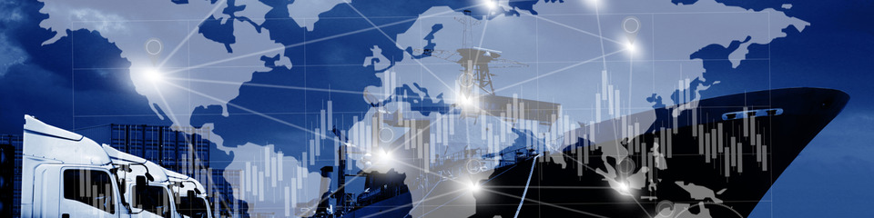 Logistica_websim3