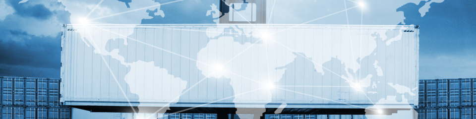 Logistica_websim7