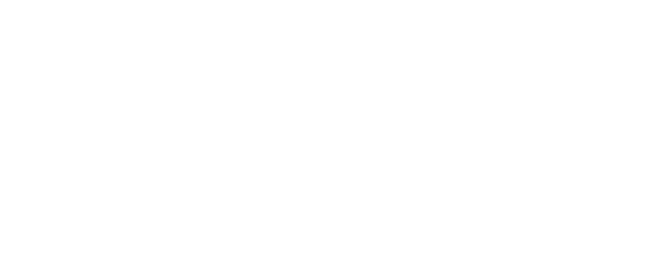 logo Websim