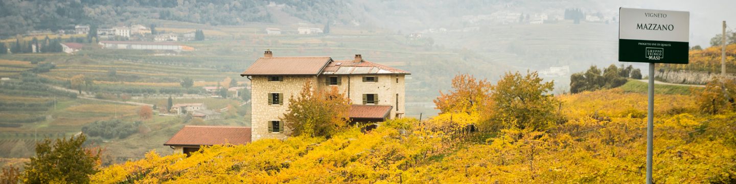 Filari Masi Agricola