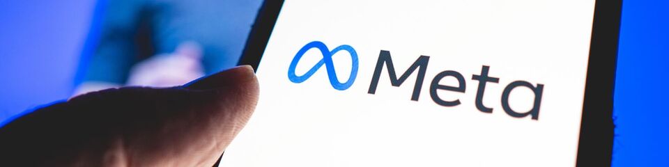 meta websim 2